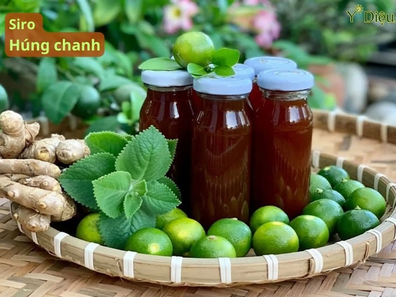 Siro Ho Húng Chanh – Giải Pháp Tự Nhiên Cho Cơn Ho Cảm Lạnh
